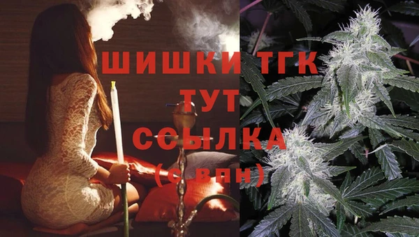 стаф Семикаракорск
