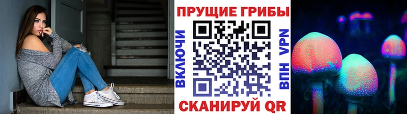 Галлюциногенные грибы Cubensis  где купить наркоту  Байкальск 